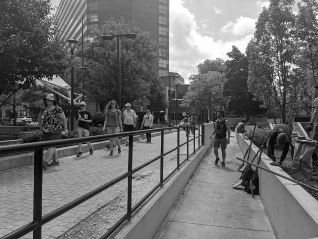 Photo of people working and walking through the park project