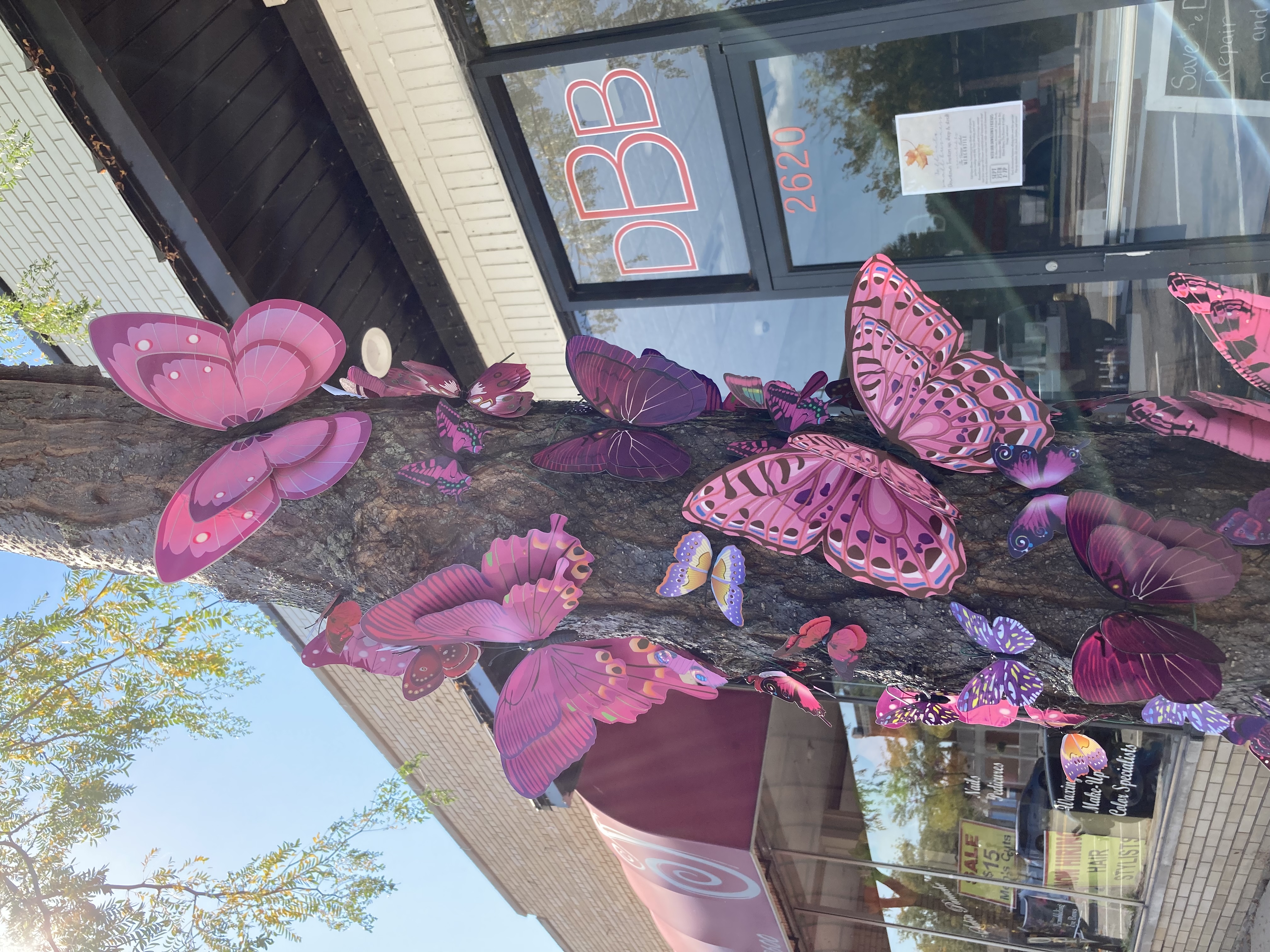 Photo of an art installation of pink butterflies on a tree