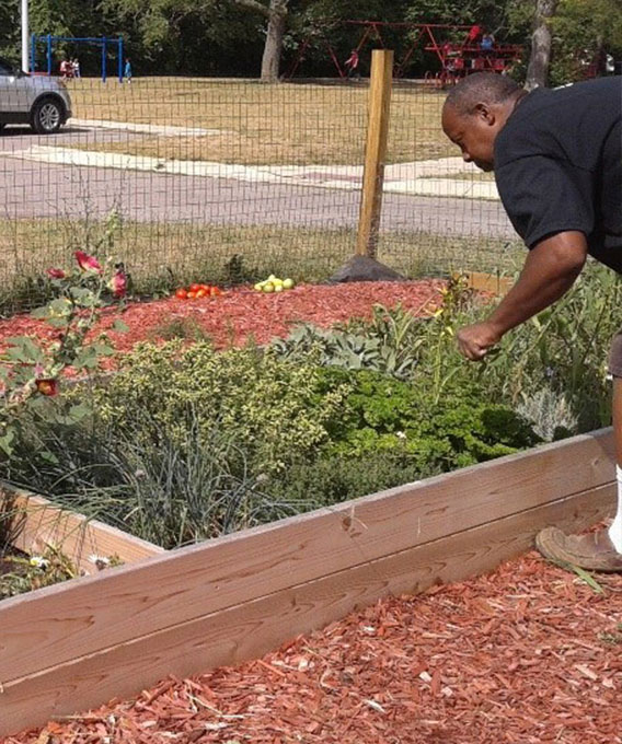 Photo of man working in a raised garden bed