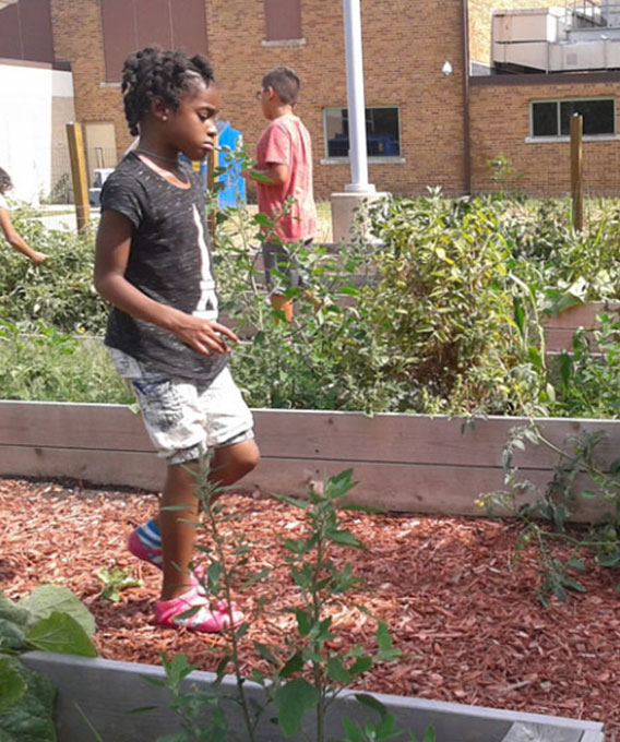 Photo of young girl walking through raised garden beds